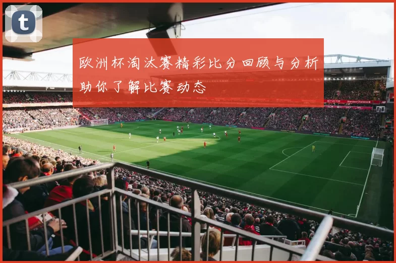 欧洲杯淘汰赛精彩比分回顾与分析助你了解比赛动态